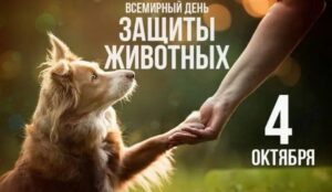 Читать далее о этой статье Всемирный день защиты животных