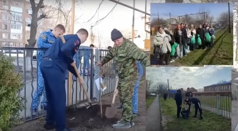 Читать далее о этой статье Конкурс «Экология»
