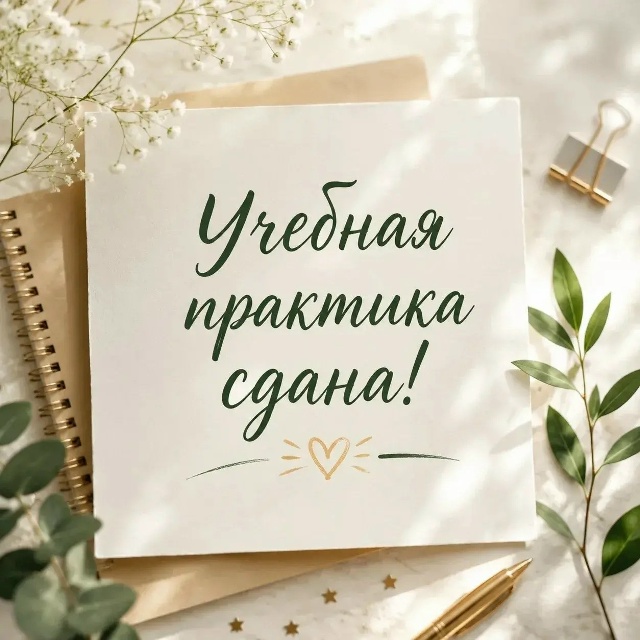 Читать далее о этой статье Студенты 3 курса отделения «Преподавание в начальных классах» успешно защитили учебную практику