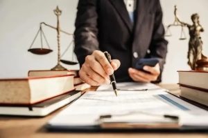 Первая ступень Фемиды: год на юридическом фронте