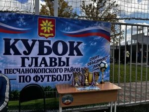 Читать далее о этой статье Команда Сальского Института заняла I место в розыгрыше Кубка главы Песчанокопского района